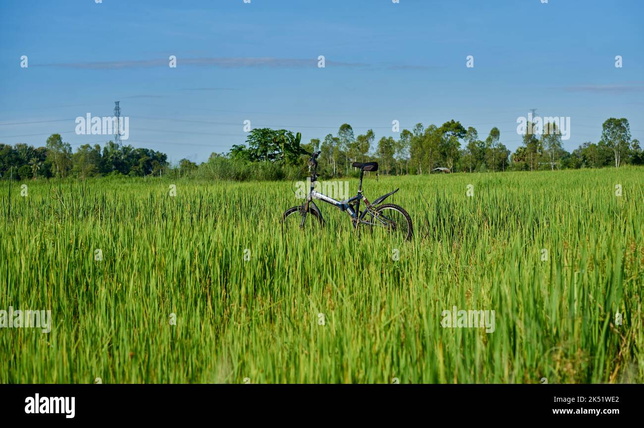 A mountain bicycle in a beautiful lush green landscape. Stock Photo