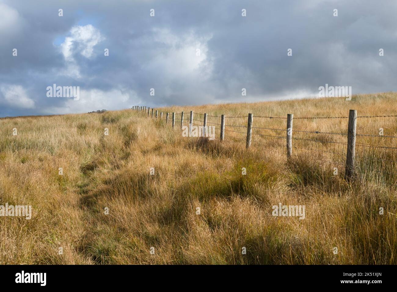 A barbed wire fence along the Devon and Somerset boarder on the north side of The Chains, Exmoor National Park, England. Stock Photo