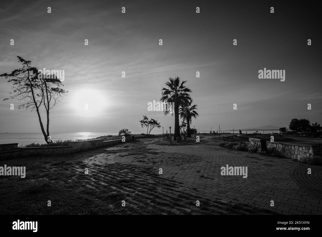 Sunset and palm trees at a park next to the sea in Chalkidiki Greece in black and white Stock Photo