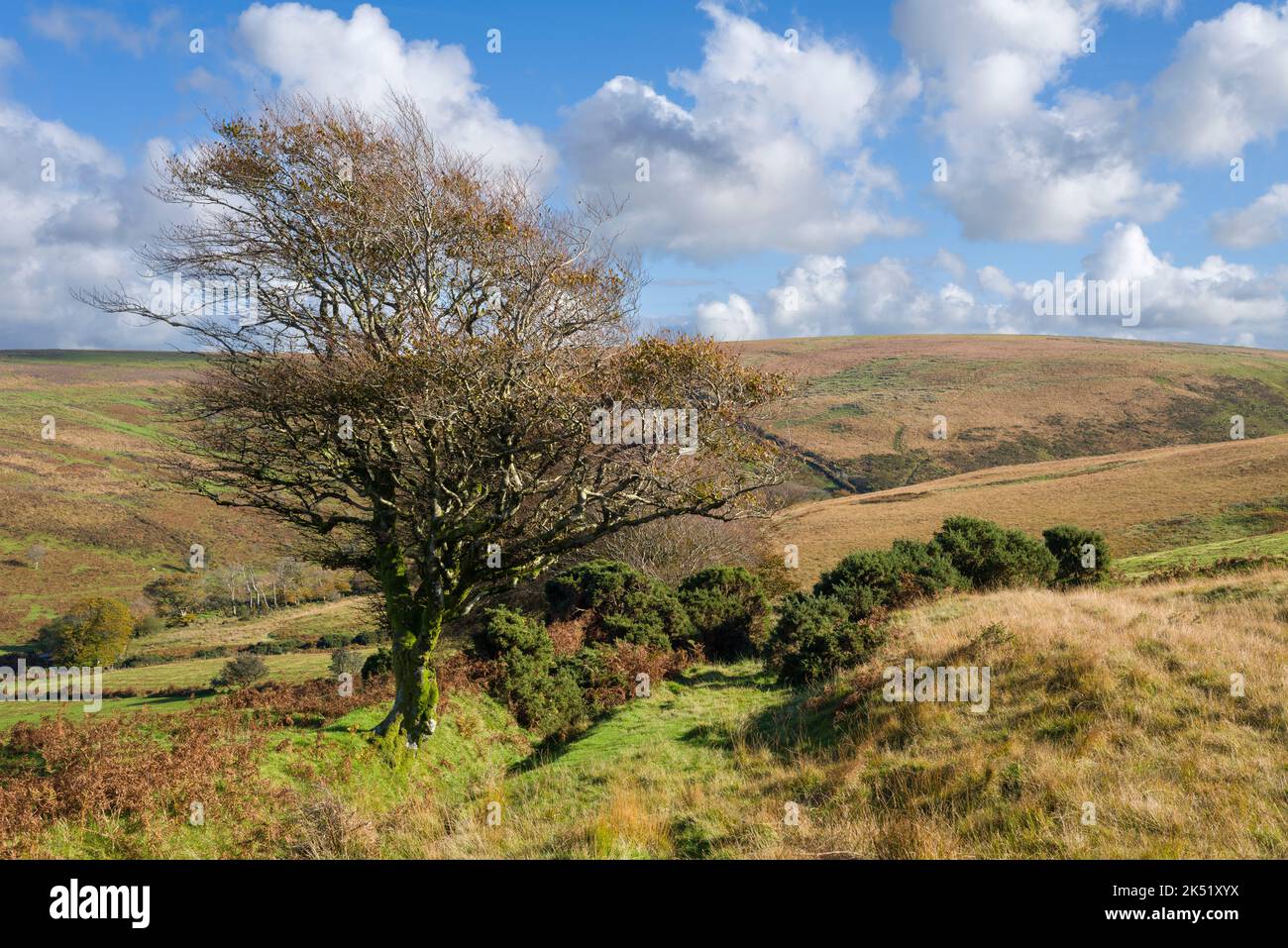 Hoaroak water valley hi-res stock photography and images - Alamy