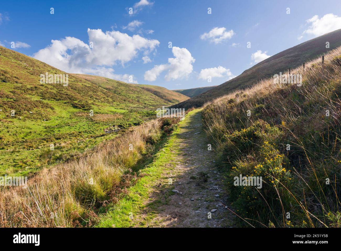 The Two Moors Way and Tarka Trail in the Hoaroak Water Valley between ...