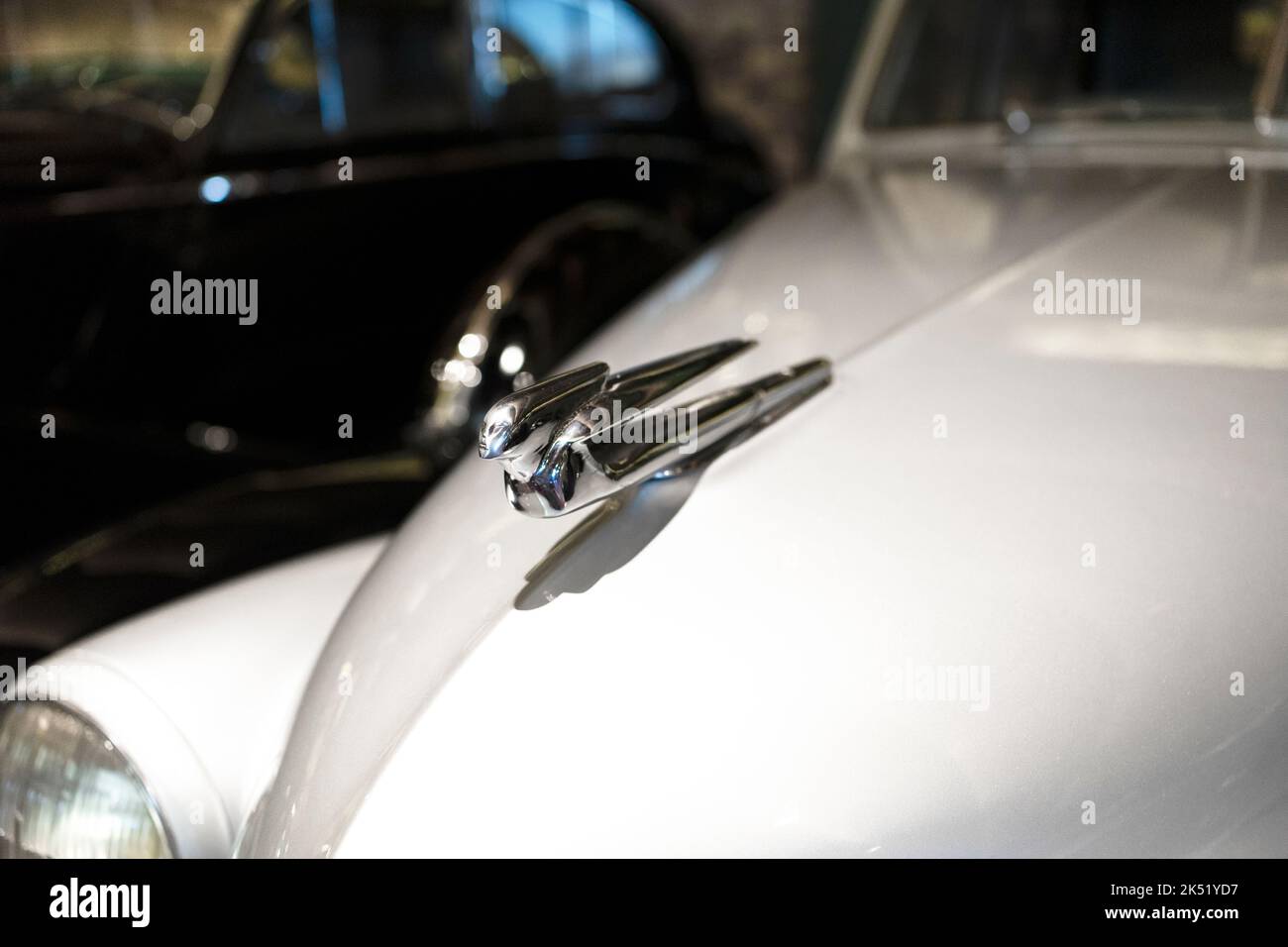 Close-up photo of a 1939 Cadillac flying lady hood ornament. Stock Photo