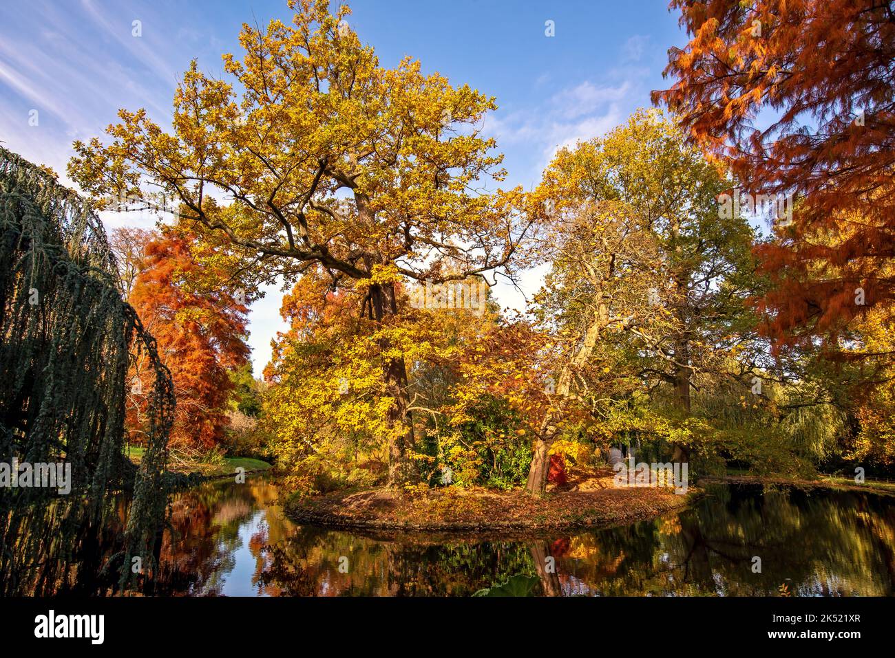 Fall foliage and water reflections in a pond in Vallee aux Loups arboretum near Paris, France. Stock Photo