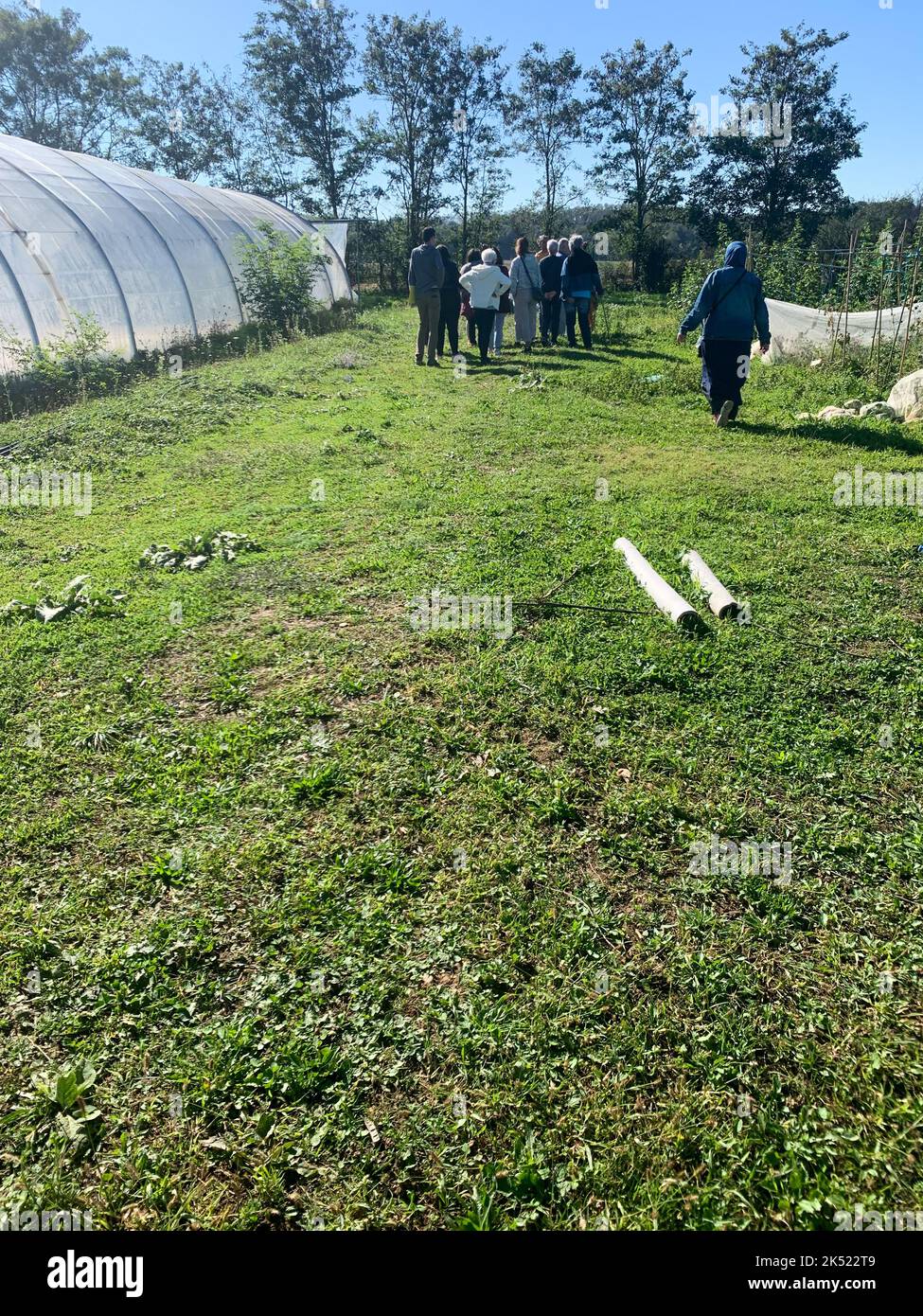 Vegetable cultivation Stock Photo