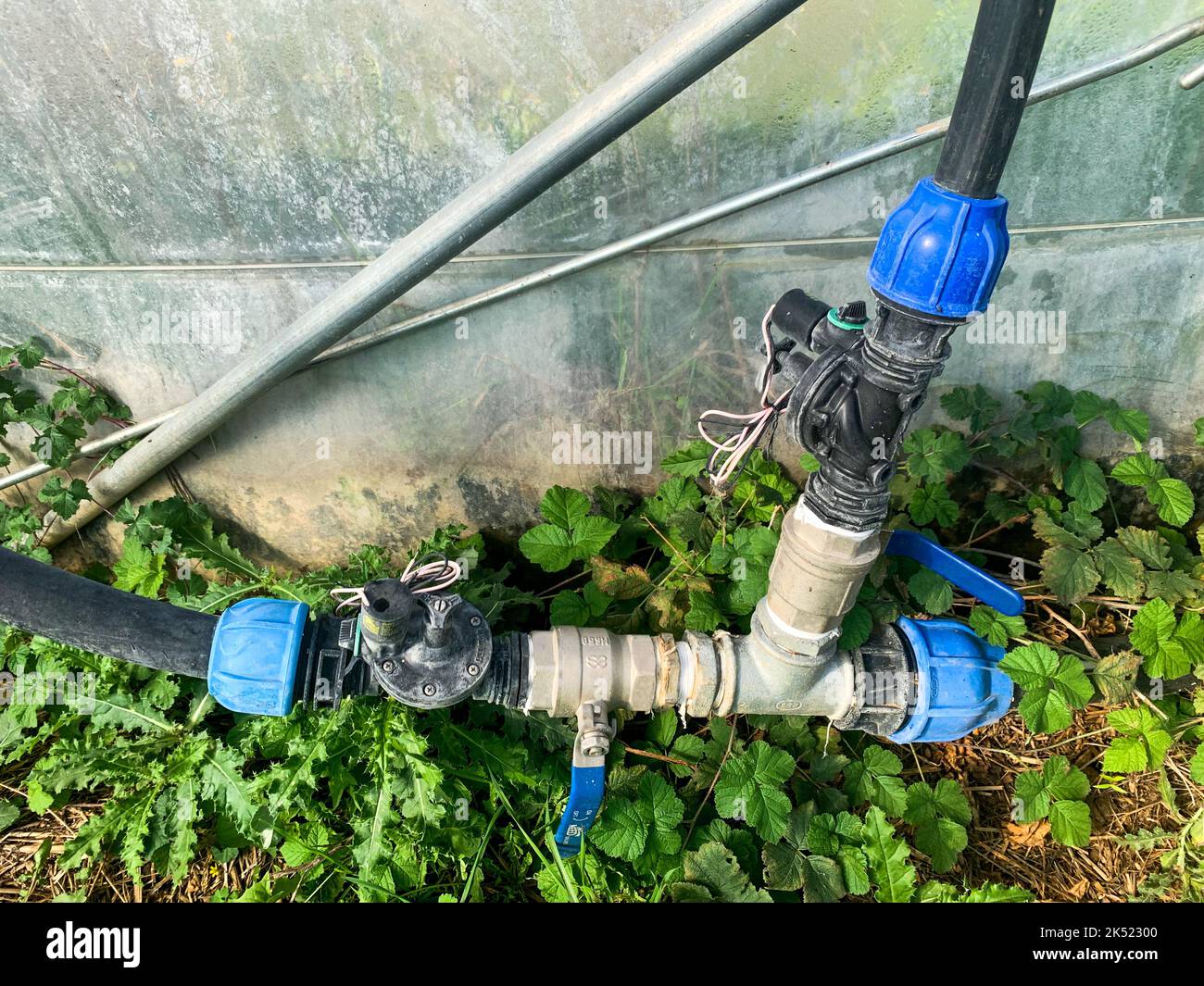 Vegetable cultivation, watering system in a greenhouse of vegetable crops, Saint-Priest, Rhone, AURA Region, France Stock Photo