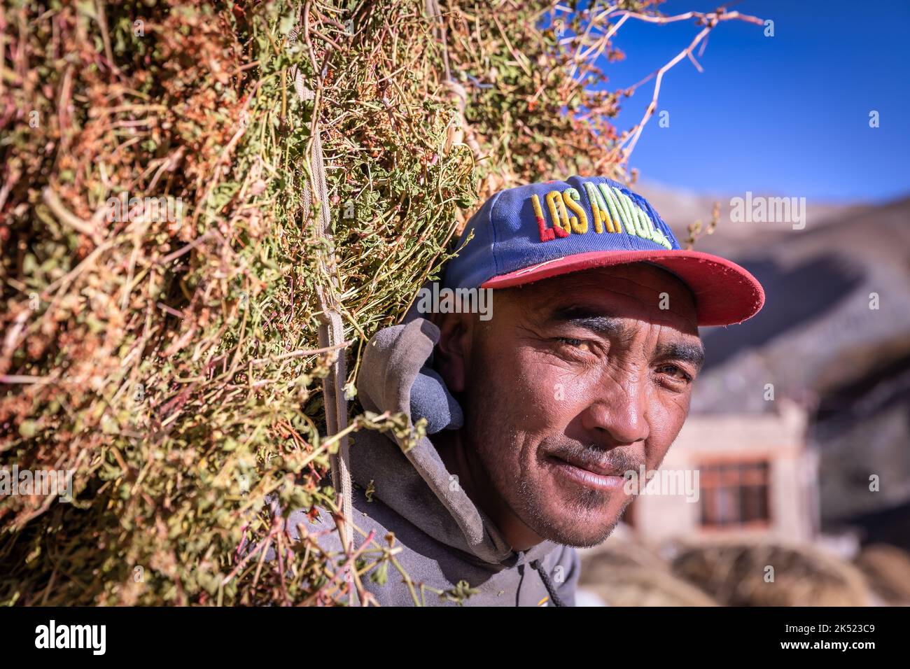 Man with hay on his back, Photoksar, Ladakh, India Stock Photo