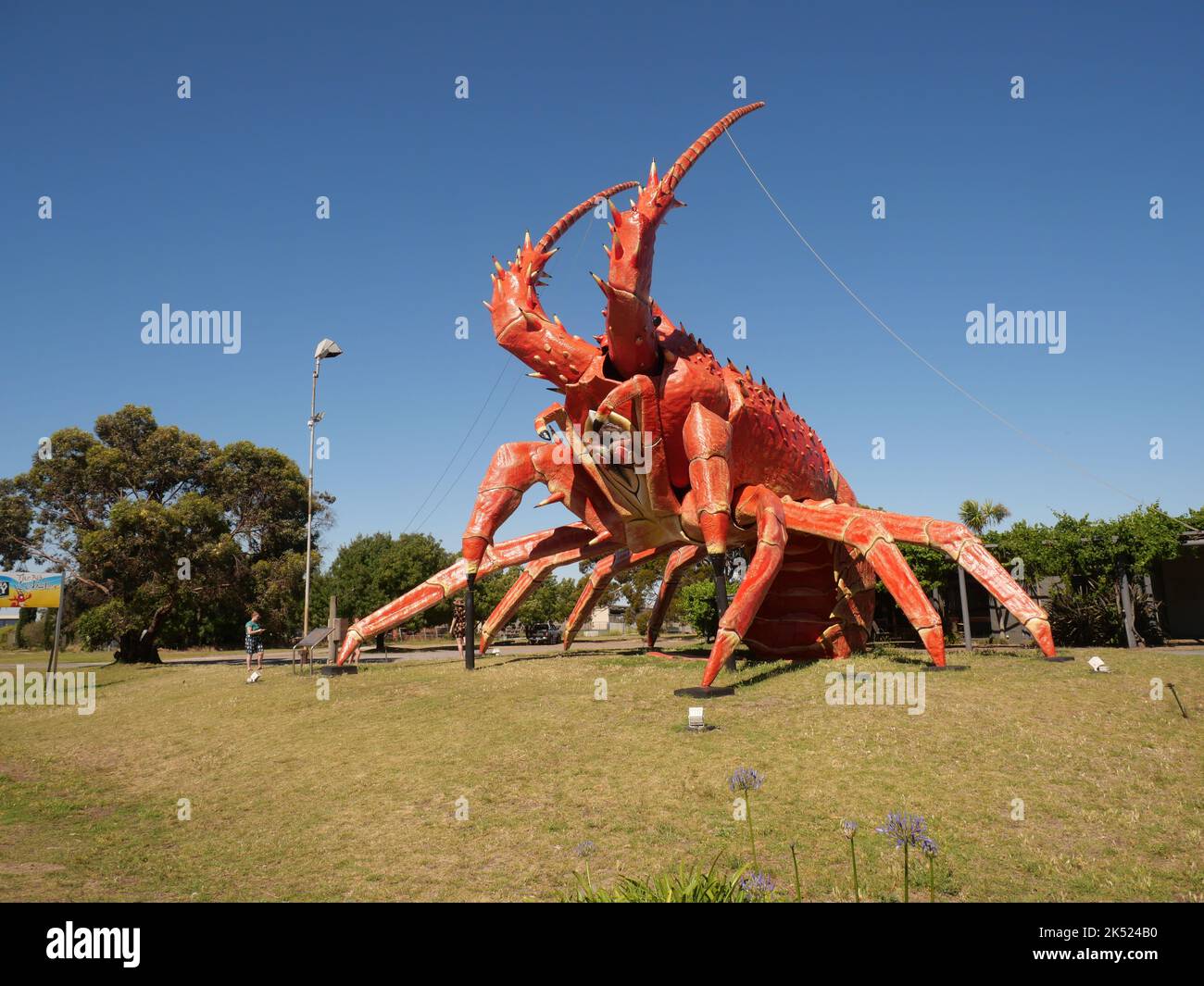 Red lobster South Australia Stock Photo