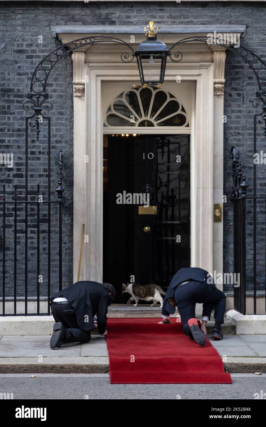 Red carpet is laid in front of the main No.10 Downing Street entrance doorway ahead of a State visit, Whitehall, London, England, UK Stock Photo