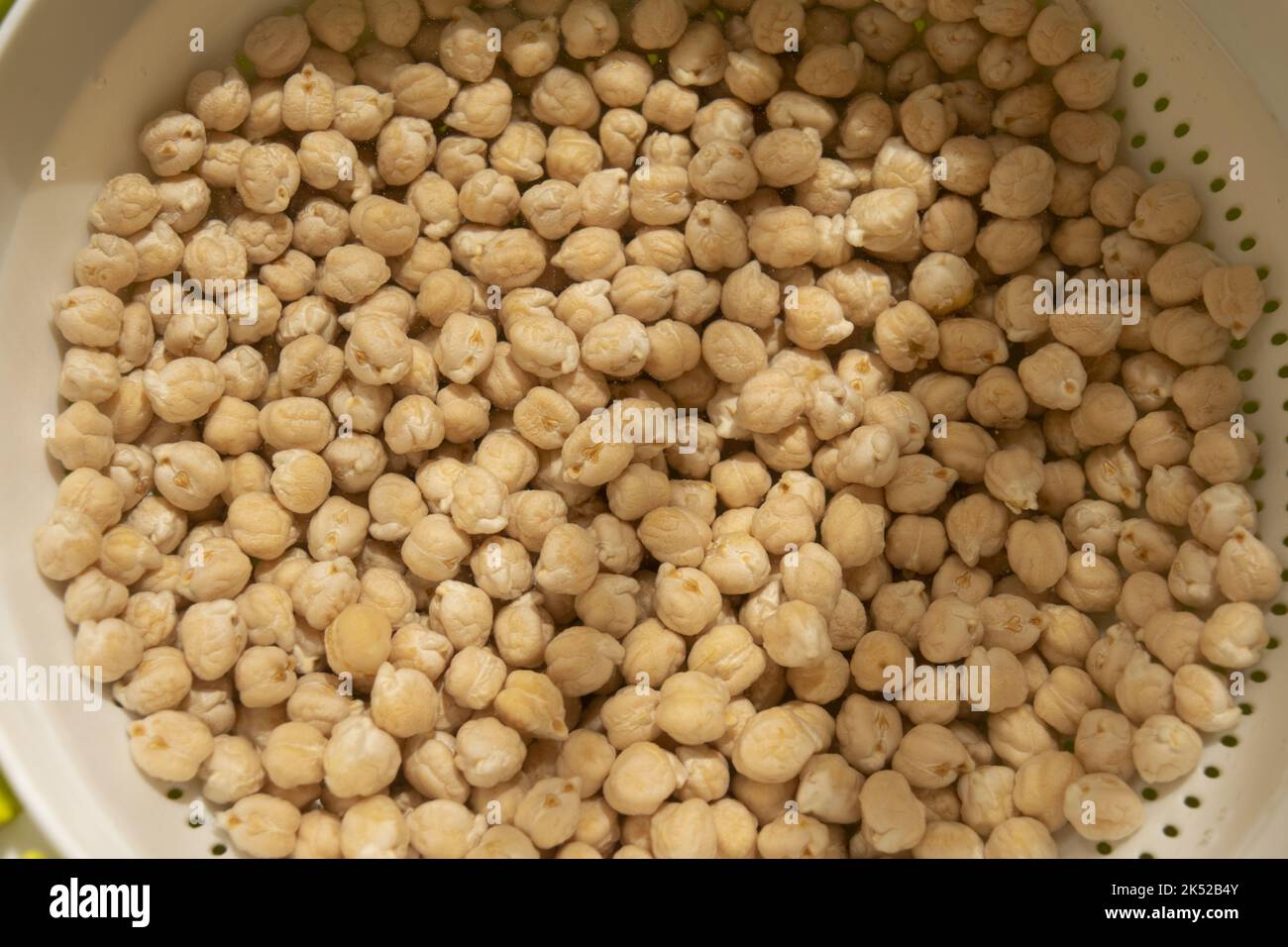 chickpeas soaking in water in a plastic bowl Stock Photo