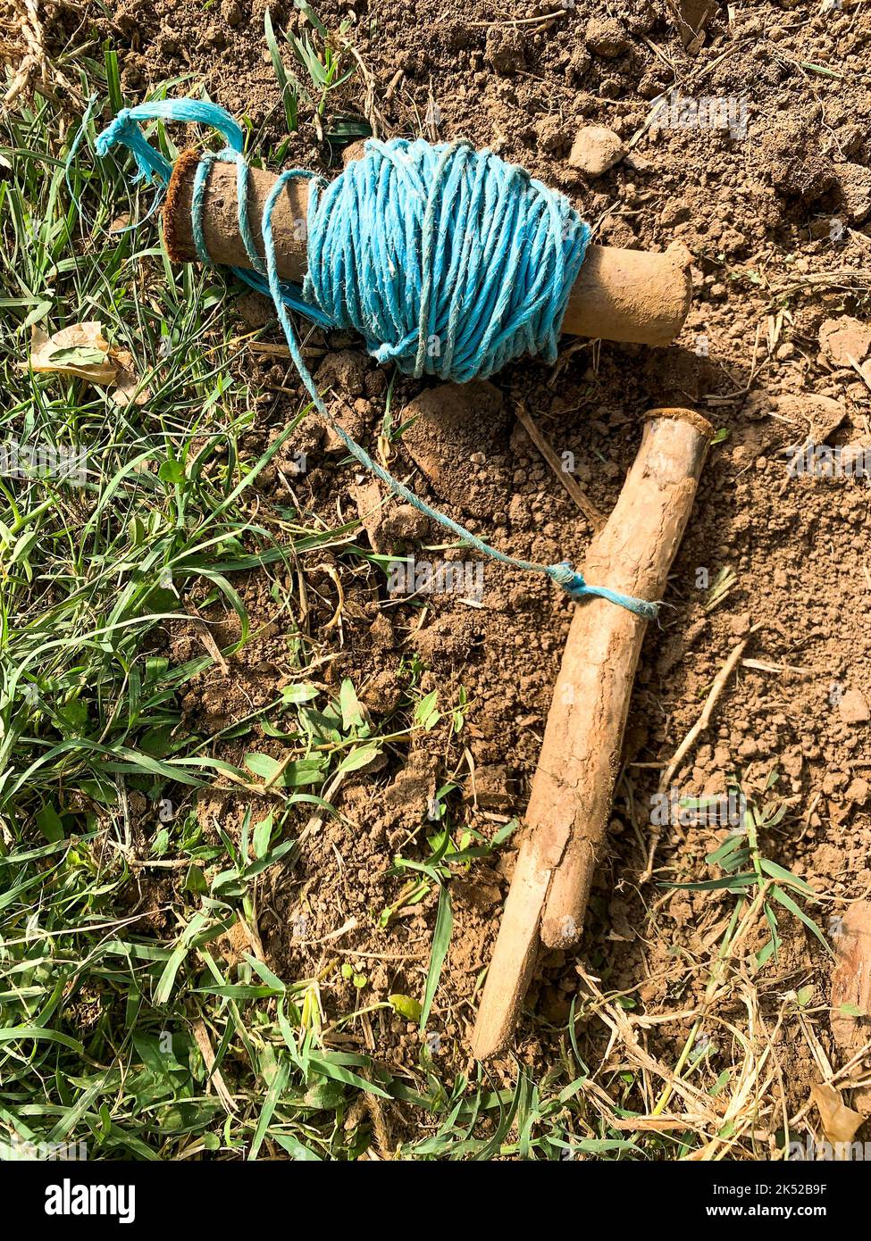 Vegetable cultivation, sowing tools, Saint-Priest, Rhone, AURA Region, France Stock Photo