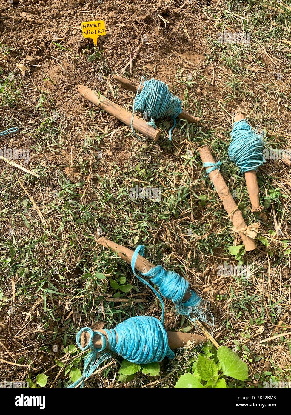 Vegetable cultivation, sowing tools, Saint-Priest, Rhone, AURA Region, France Stock Photo