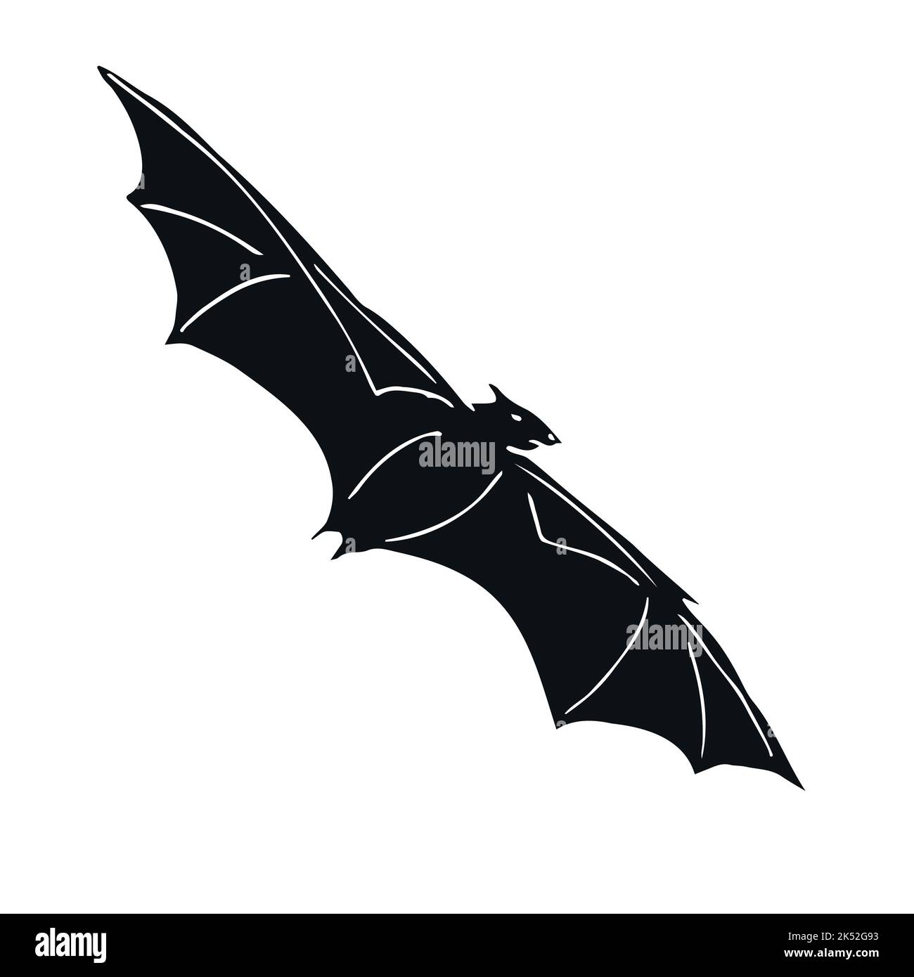Vector hand drawn doodle sketch black flying bat isolated on white ...