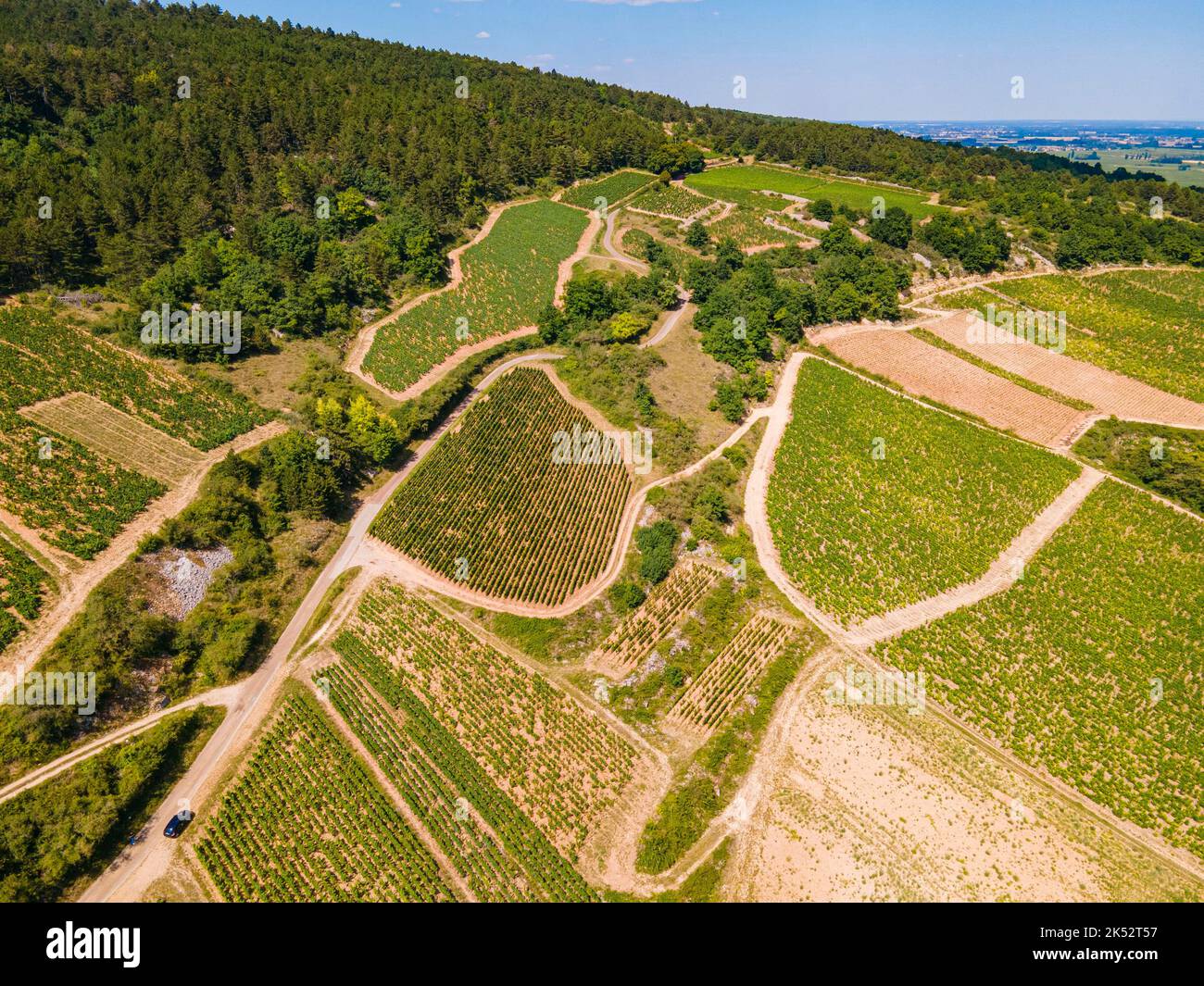 France, Cote d'Or, Burgundy climates listed as World Heritage by UNESCO, Route des Grands Crus, Cote de Beaune vineyard, Santenay (aerial view) Stock Photo