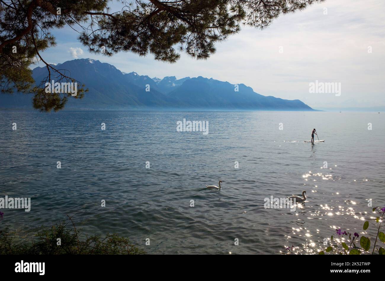 Switzerland, Vaud canton, Riviera (VeveyMontreux), stand up paddle
