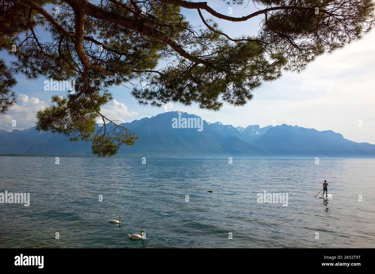 Switzerland, Vaud canton, Riviera (VeveyMontreux), stand up paddle