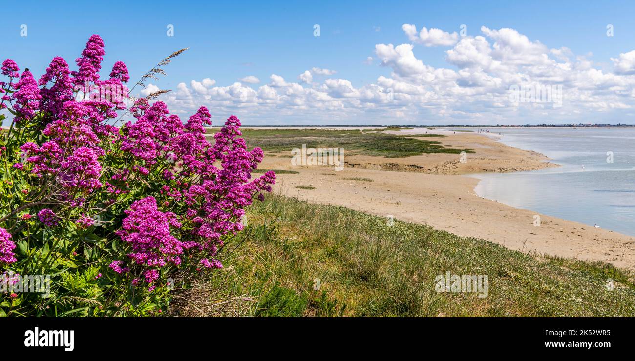 France, Somme (80), Baie de Somme, Le Hourdel, la pointe du Hourdel