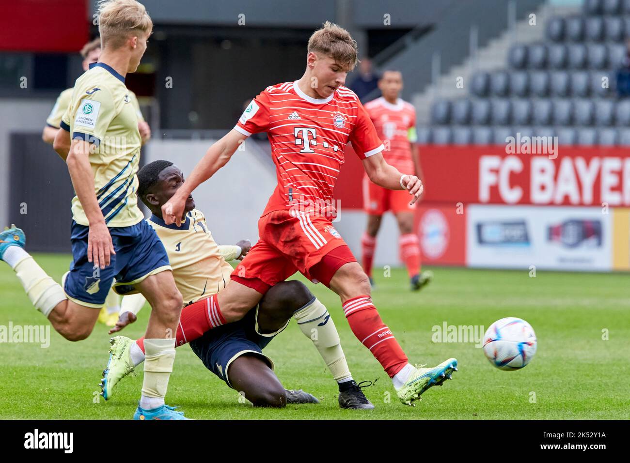 Scholze max fc bayern munchen hires stock photography and images Alamy