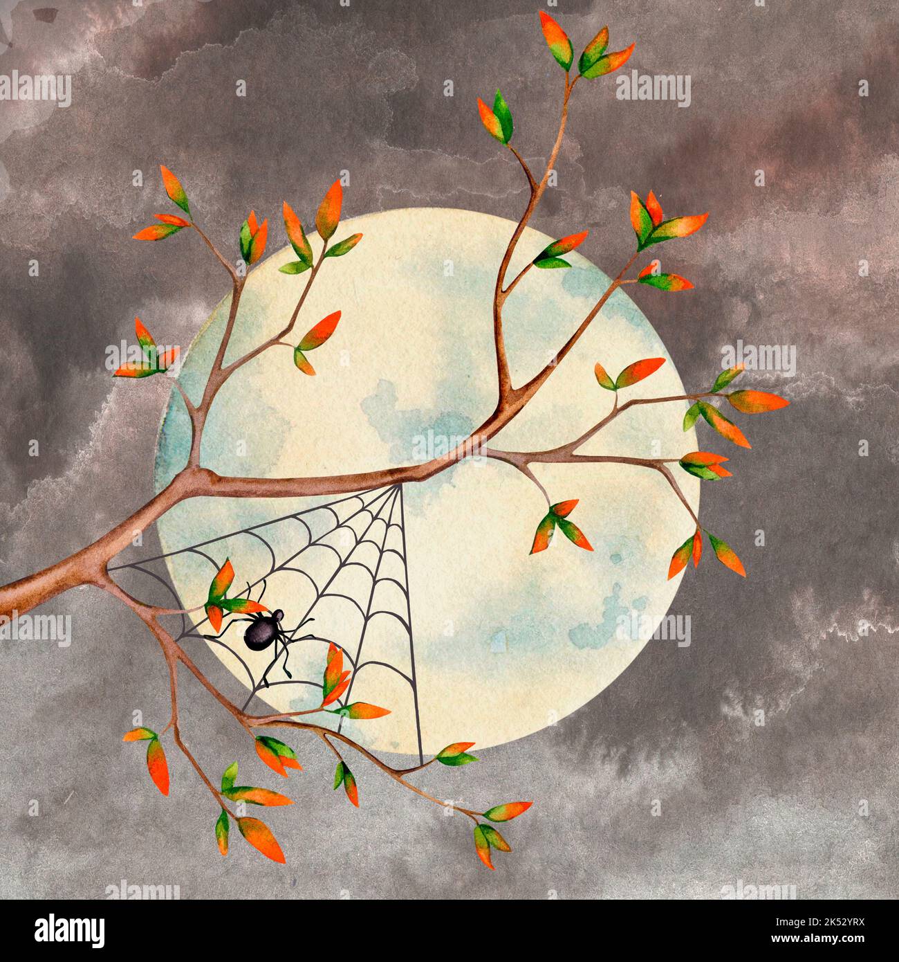 A tree branch with a spider against the background of the moon and the night sky. Illustration for Halloween. Watercolor composition for postcards, po Stock Photo
