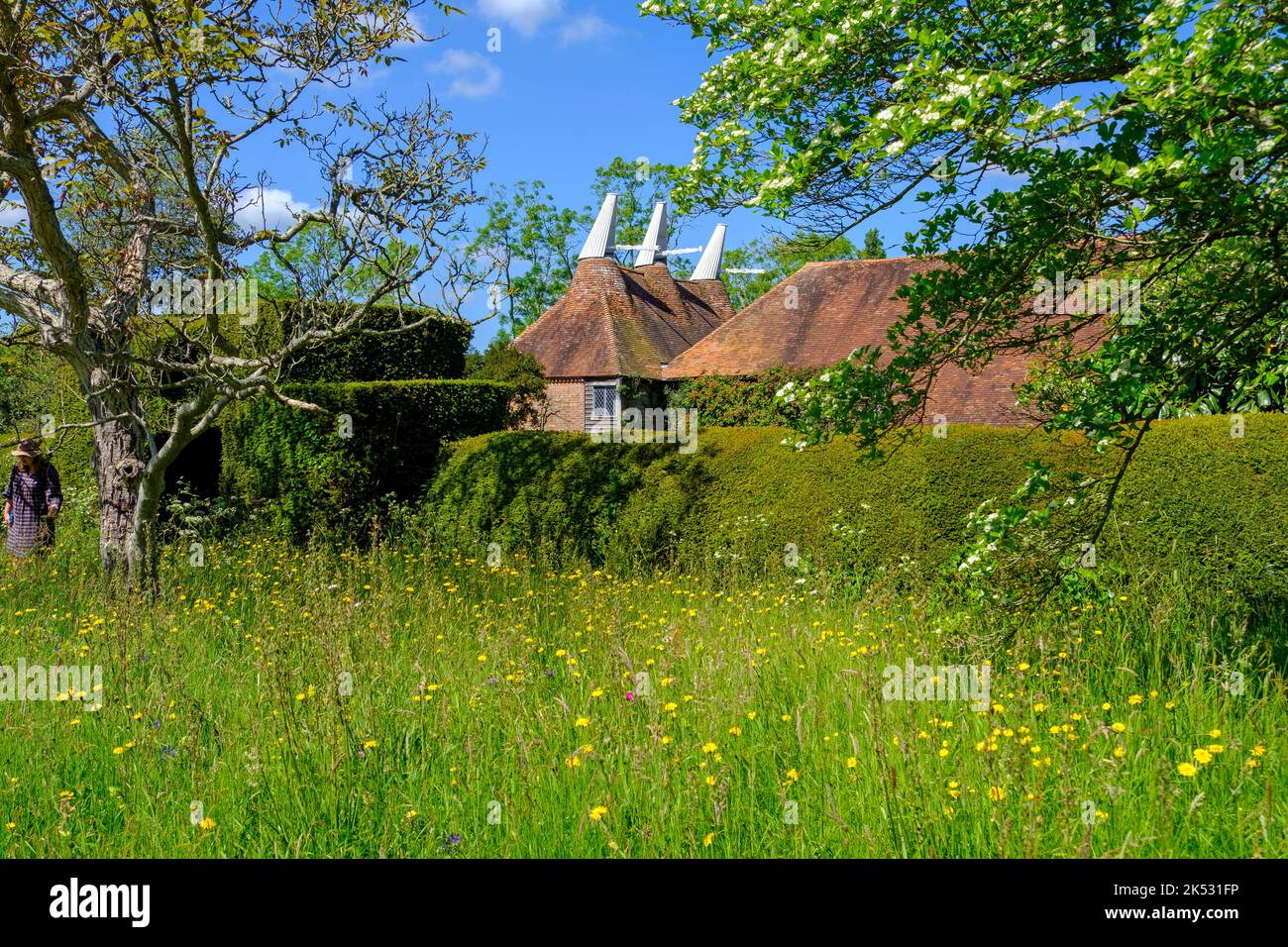 Wild flower meadow, spring flowers, Great Dixter, East Sussex, UK Stock ...