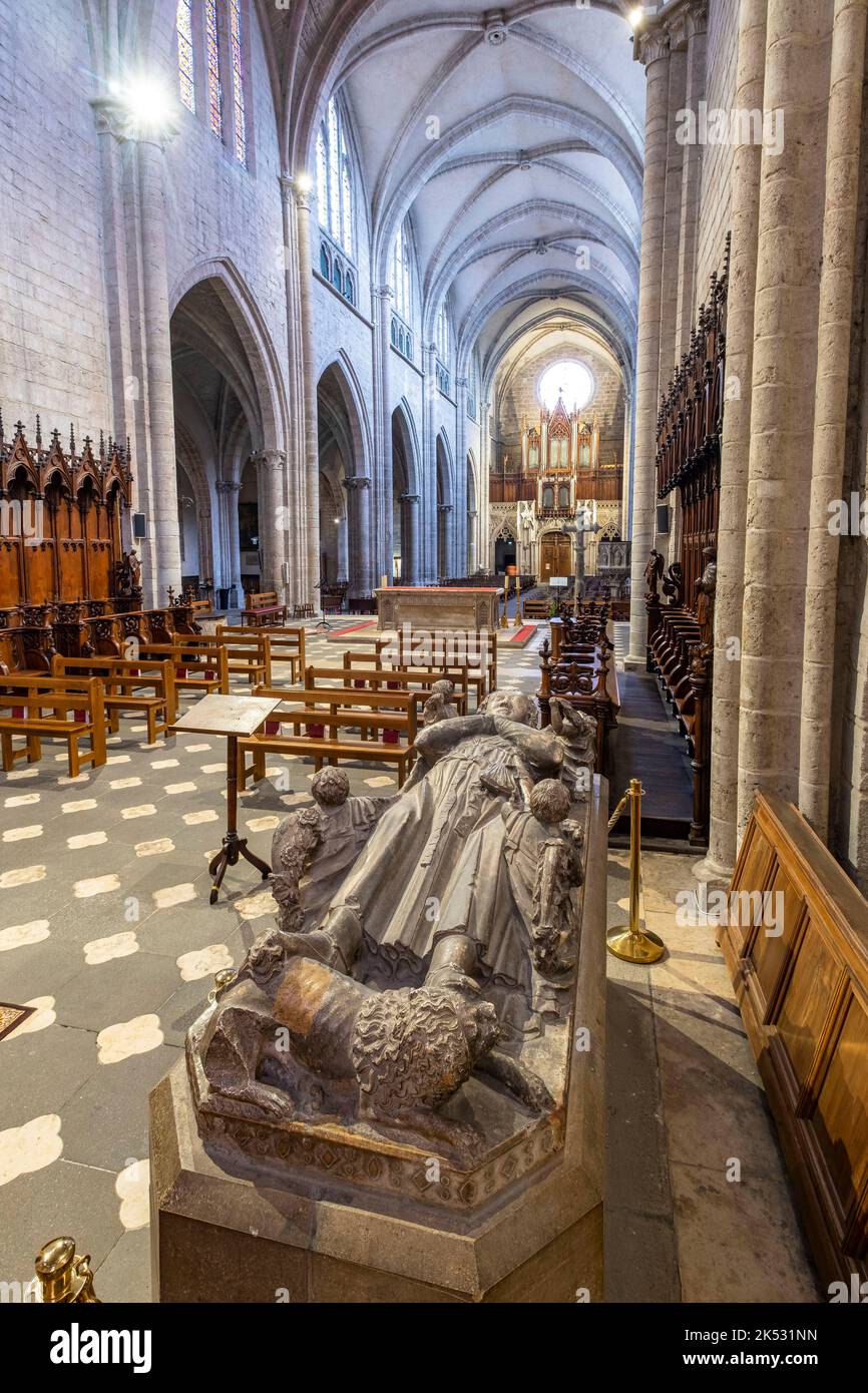 France, Loire, Montbrison, the church Notre Dame d'Esperance, Guy IV (1196 1241), count of Forez Stock Photo