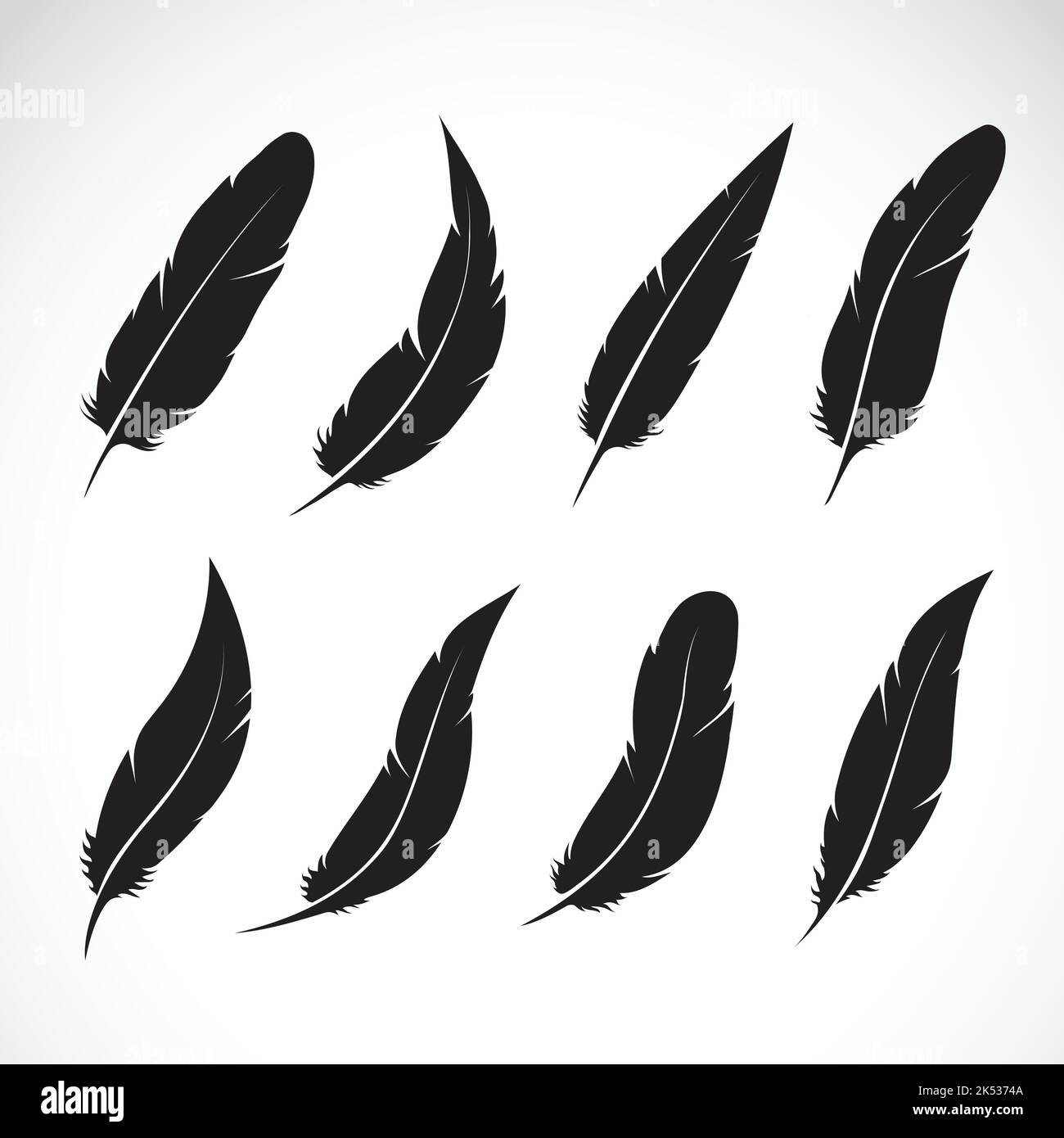 Vector group of black feather on white background. Easy editable