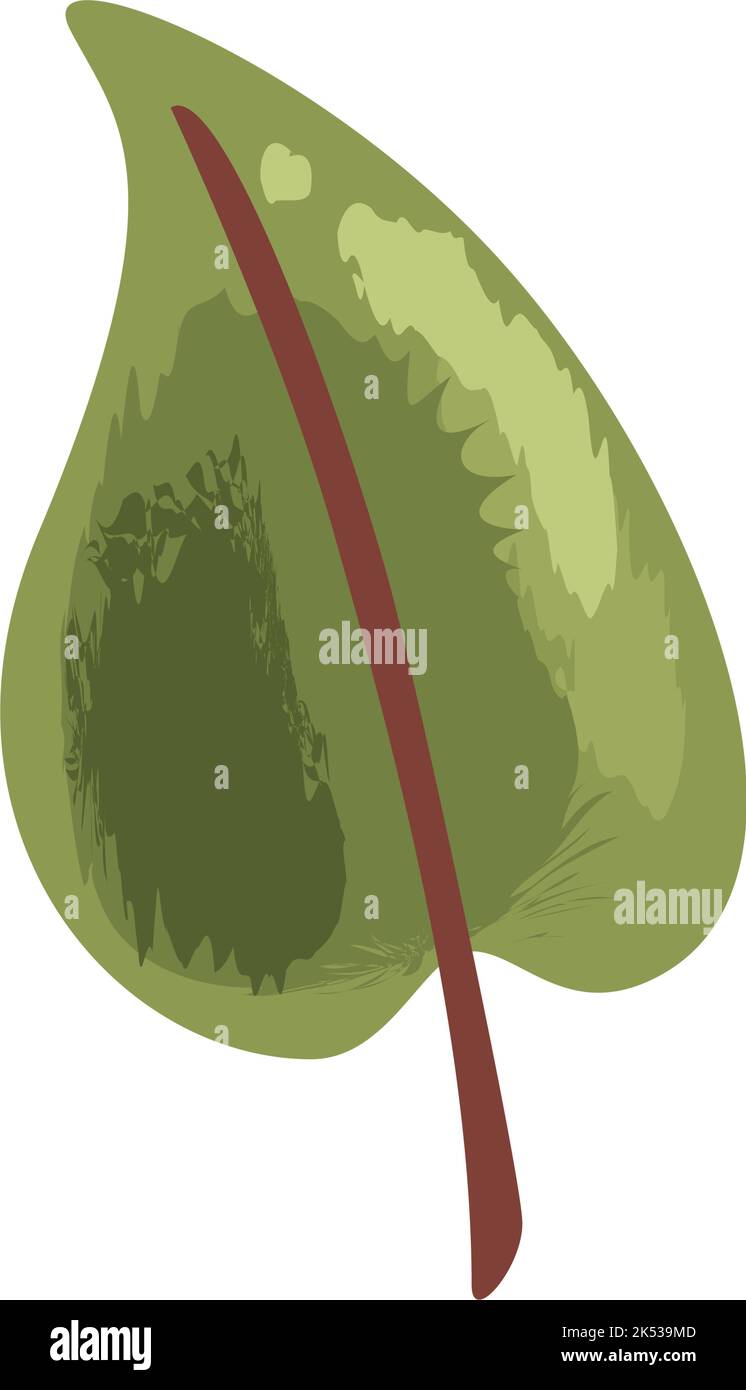 leaf plant foliage nature icon Stock Vector Image & Art - Alamy