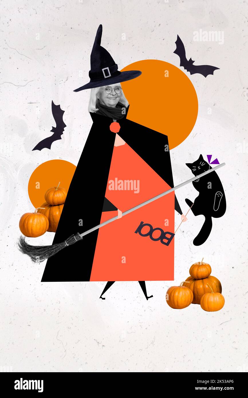 Collage photo of old woman wear halloween scary costume mantle hold broom with black cat prepare celebrate isolated drawing background Stock Photo