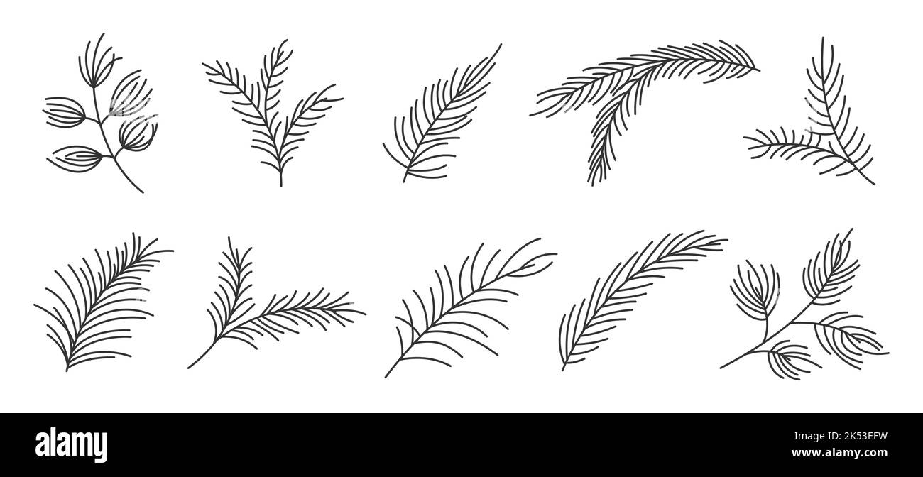Fir branch variety shape evergreen plant black line set. Spruce fir pine larch cedar winter forest green needlewood holiday xmas tree design element greeting card banner editable stroke isolated Stock Vector