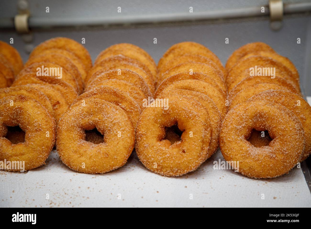 Rogers Family Orchard, Johnstown, Fulton County, New York Making apple