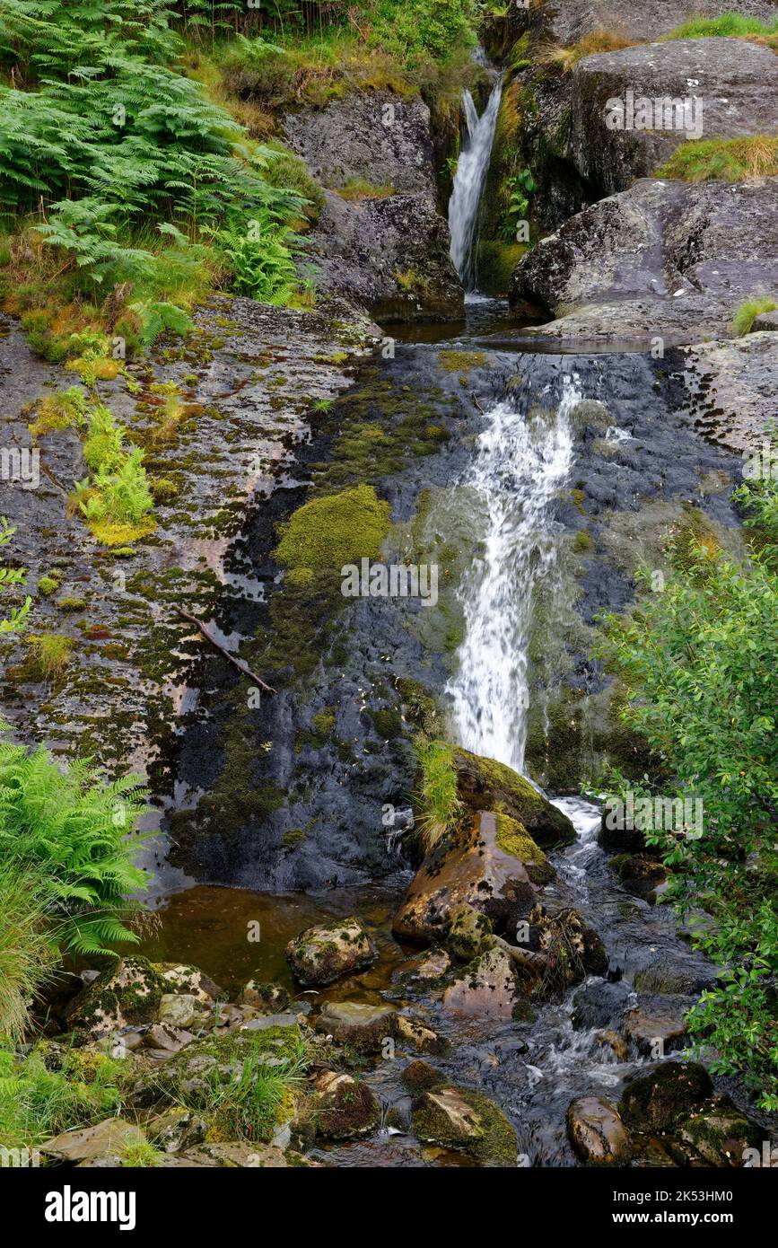 Waterfall on River Severn in Hafren Forest near Llanidloes, Powys, Central Wales, UK Stock Photo