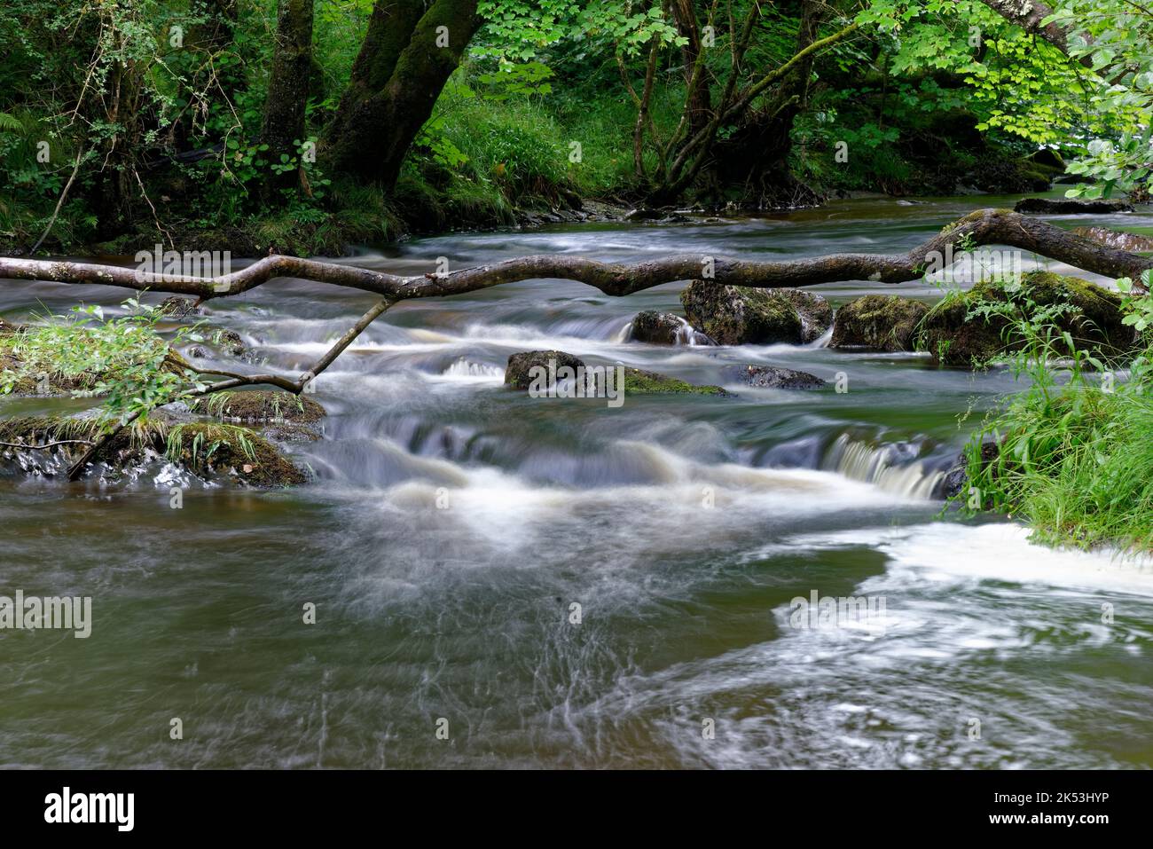 Afon Irfon at White Bridge in Irfon Forest, Abergwesyn, Powys, Wales, UK Stock Photo