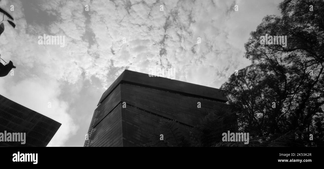 An outdoor view of the De Young Museum in San Francisco California, USA