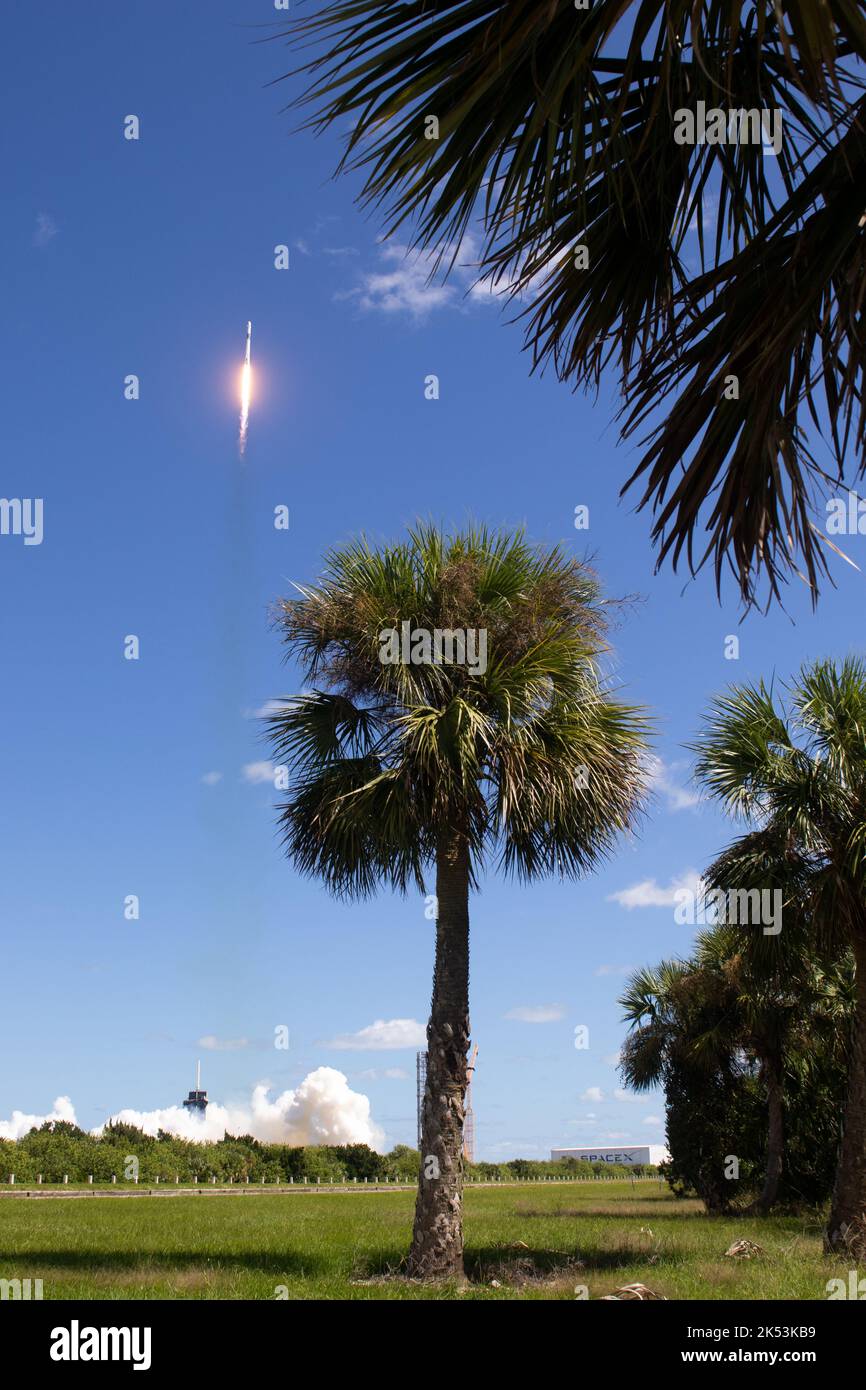 Palm lift off hi-res stock photography and images - Alamy