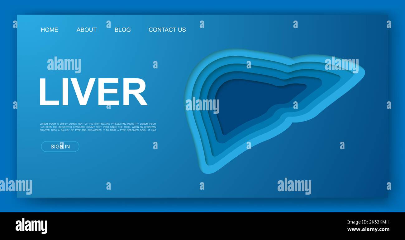 Liver 3d paper cut website template. Hepatitis paper cut out