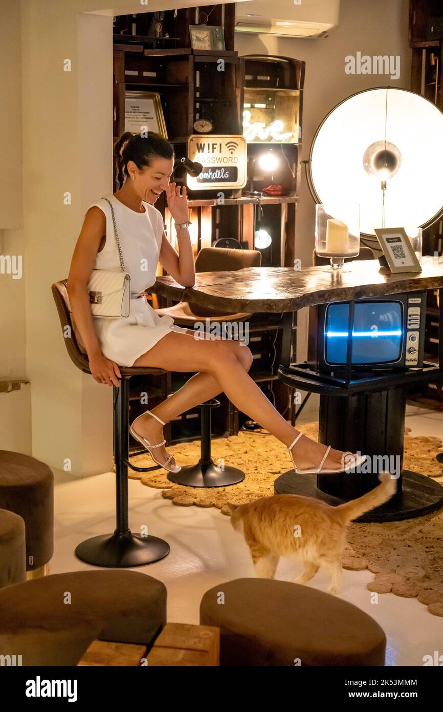 Girl playing with a cat in a bar Stock Photo
