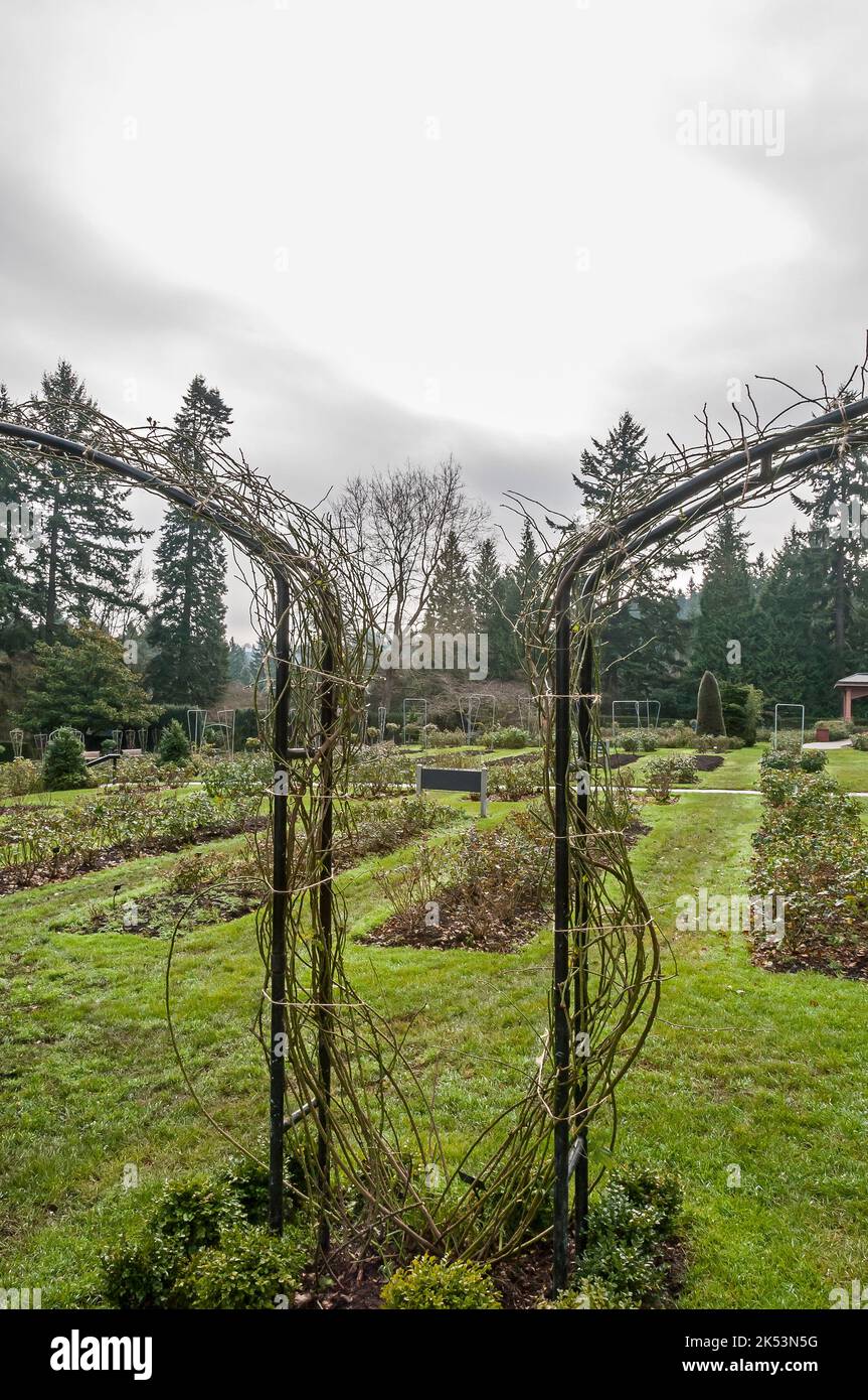 Rows of bushes with arbors or trellises in the foreground at the