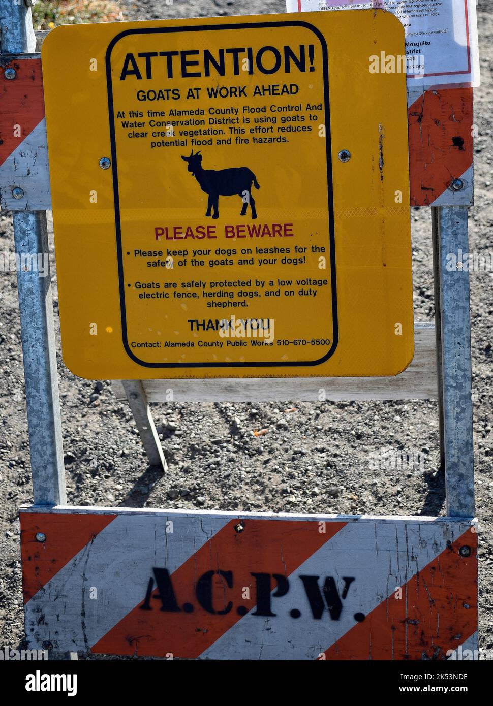 goats at work to reduce flood and fire hazards  sign along Alameda Creek in Union City, California Stock Photo