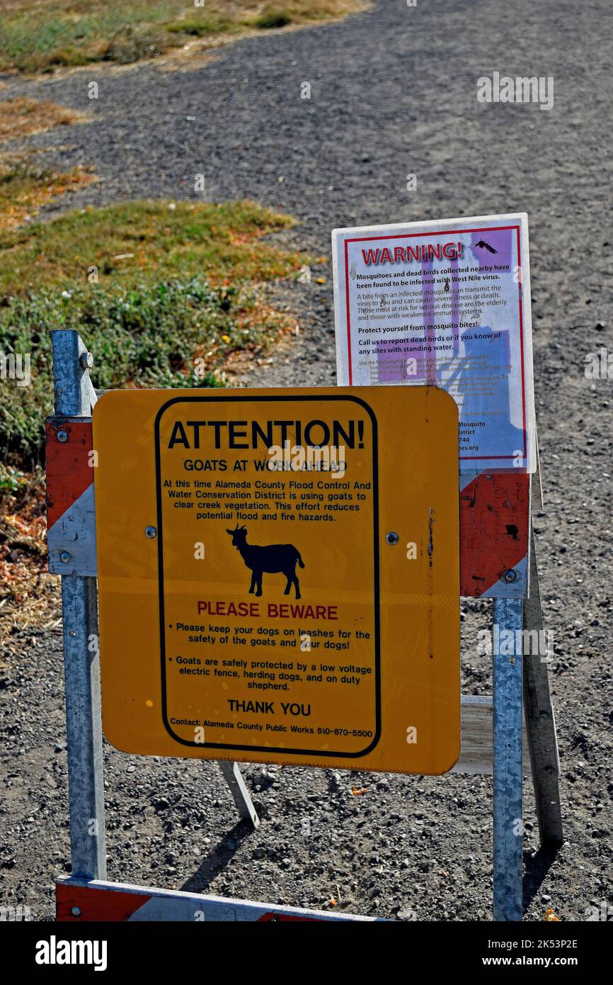 goats at work to reduce flood and fire hazards  sign along Alameda Creek in Union City, California Stock Photo