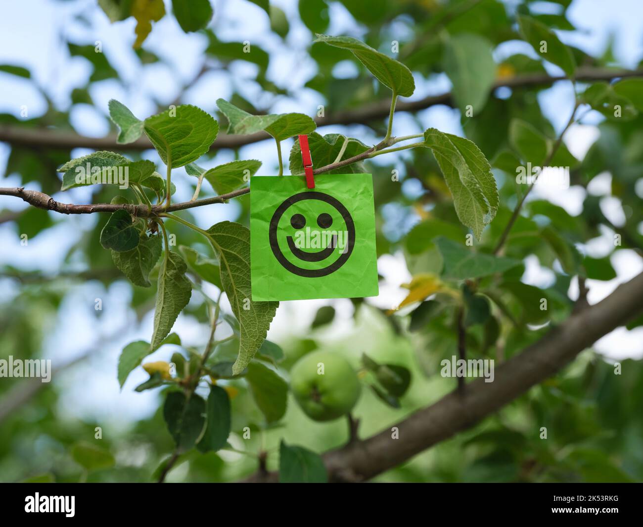A green paper note with a happy face on it attached to a tree branch with a clothes pin. Close up. Stock Photo