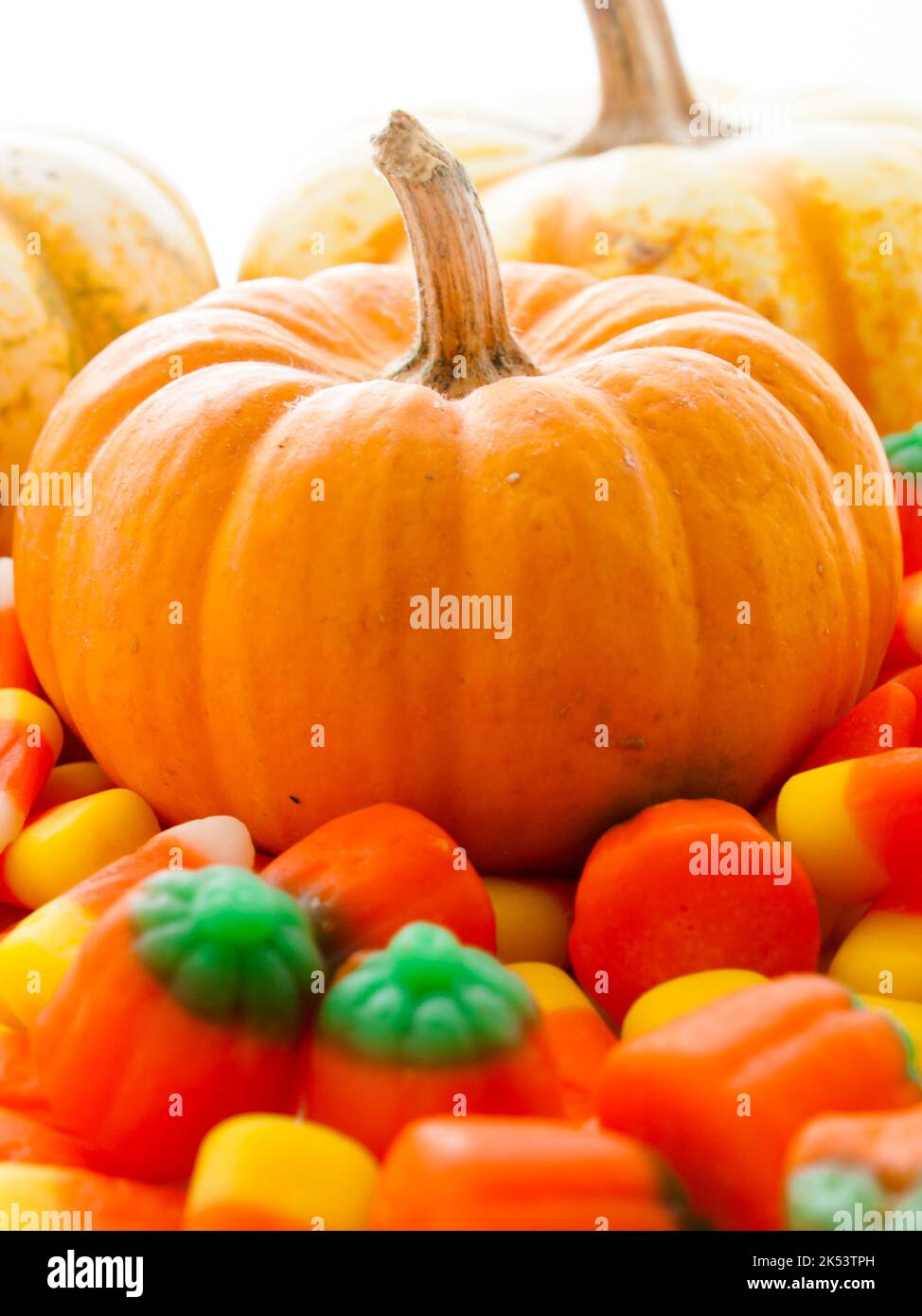 Pump ke mon pumpkin hi-res stock photography and images - Alamy