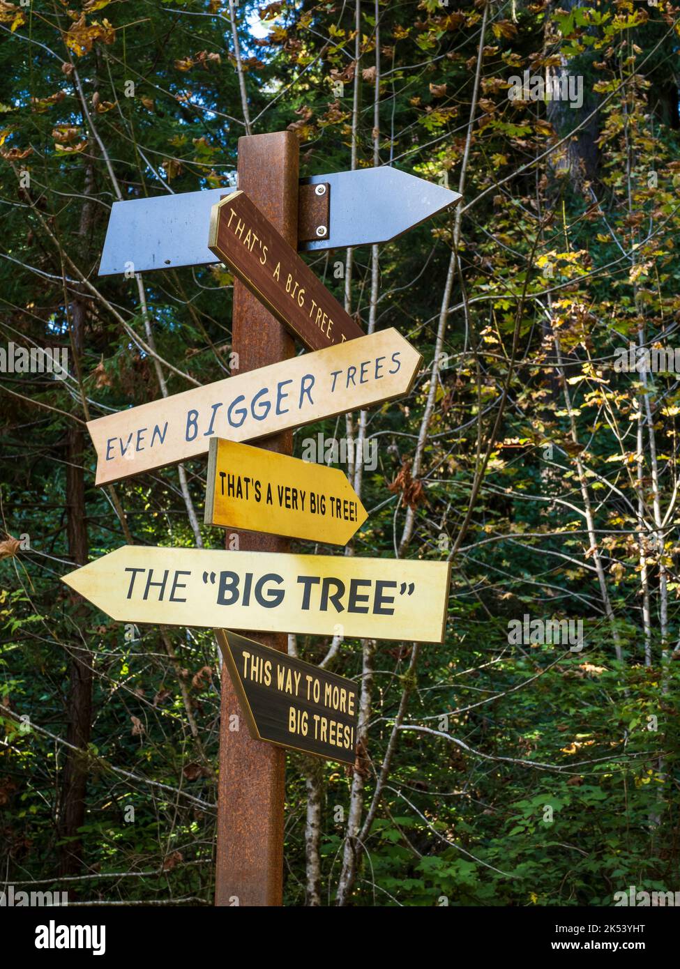 Directional sign by the Big Tree, Prairie Creek Redwoods State Park, Orick, California. Stock Photo