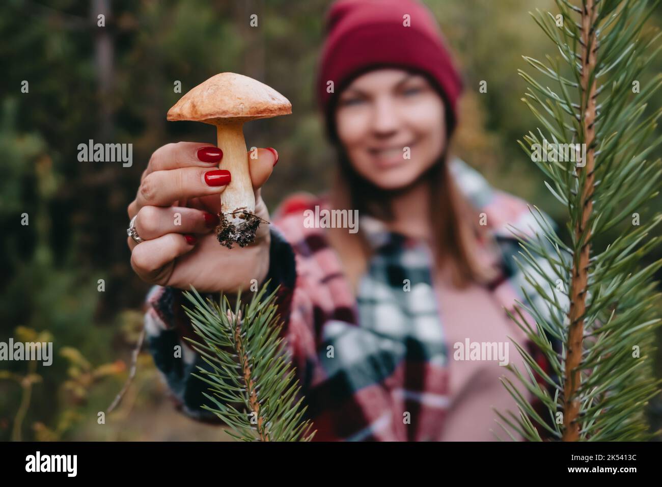 Woman holding slippery Jack Fungi, Suillus luteus on autumn forest background with pine needles, close-up view. Harvest mushroom concept Stock Photo
