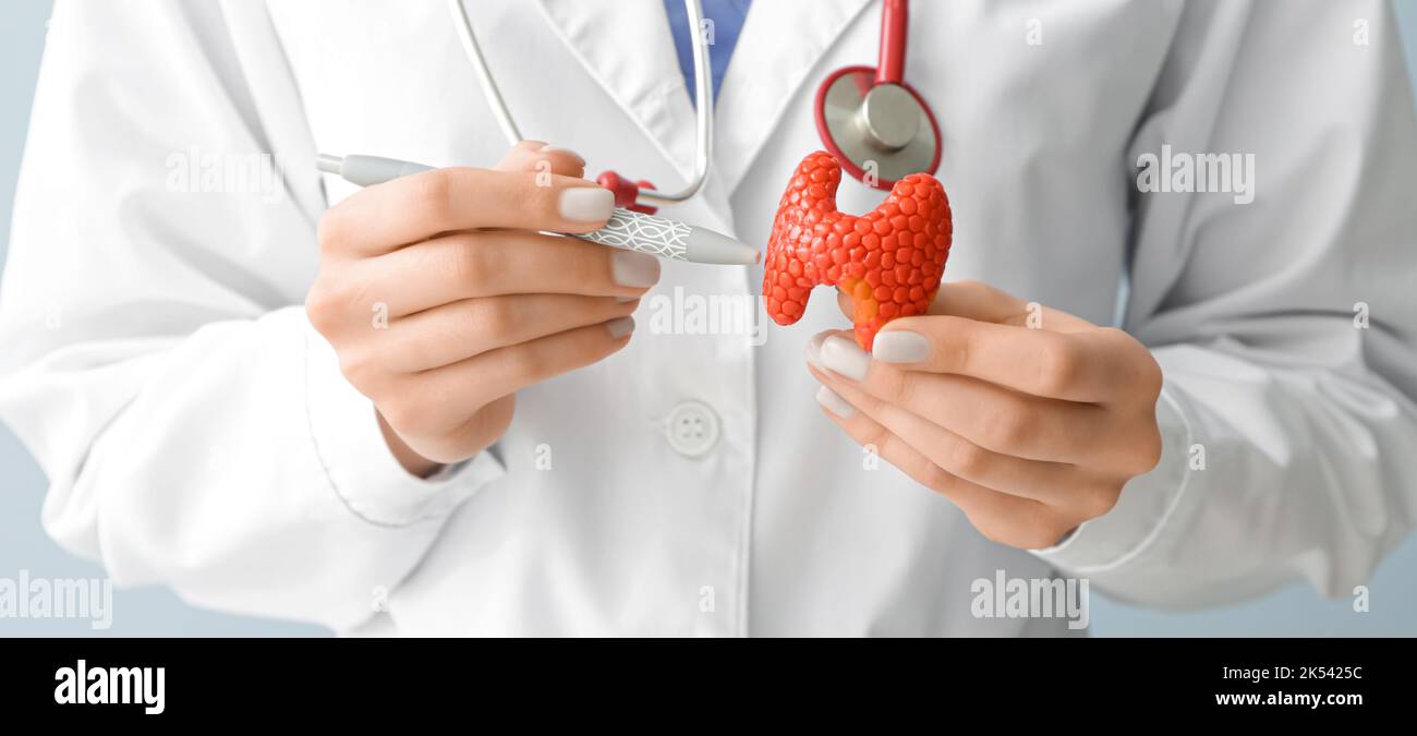 Endocrinologist with model of thyroid gland and pen, closeup Stock