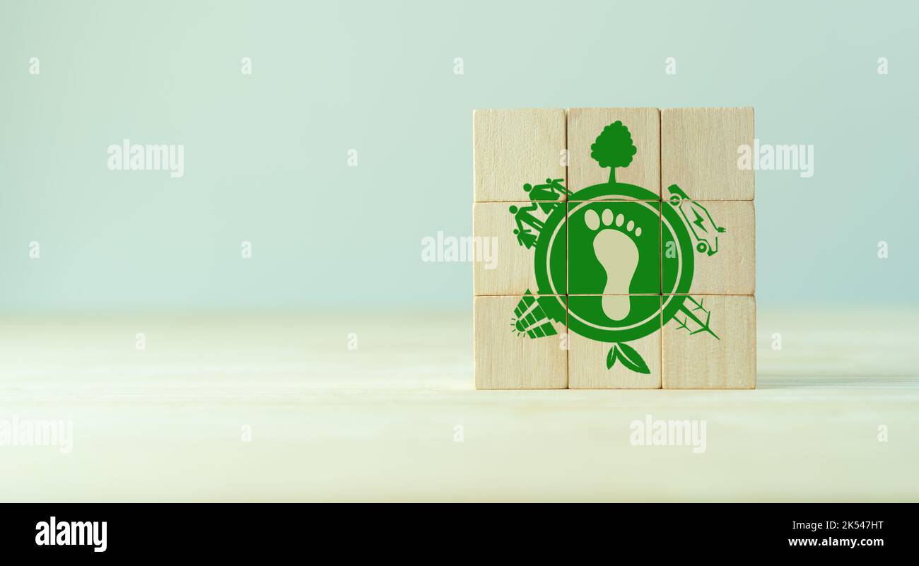 Carbon footprint, net zero emission concept. Carbon ecological footprint symbols on wooden cube with eco friendly icon. Sustainable business developme Stock Photo