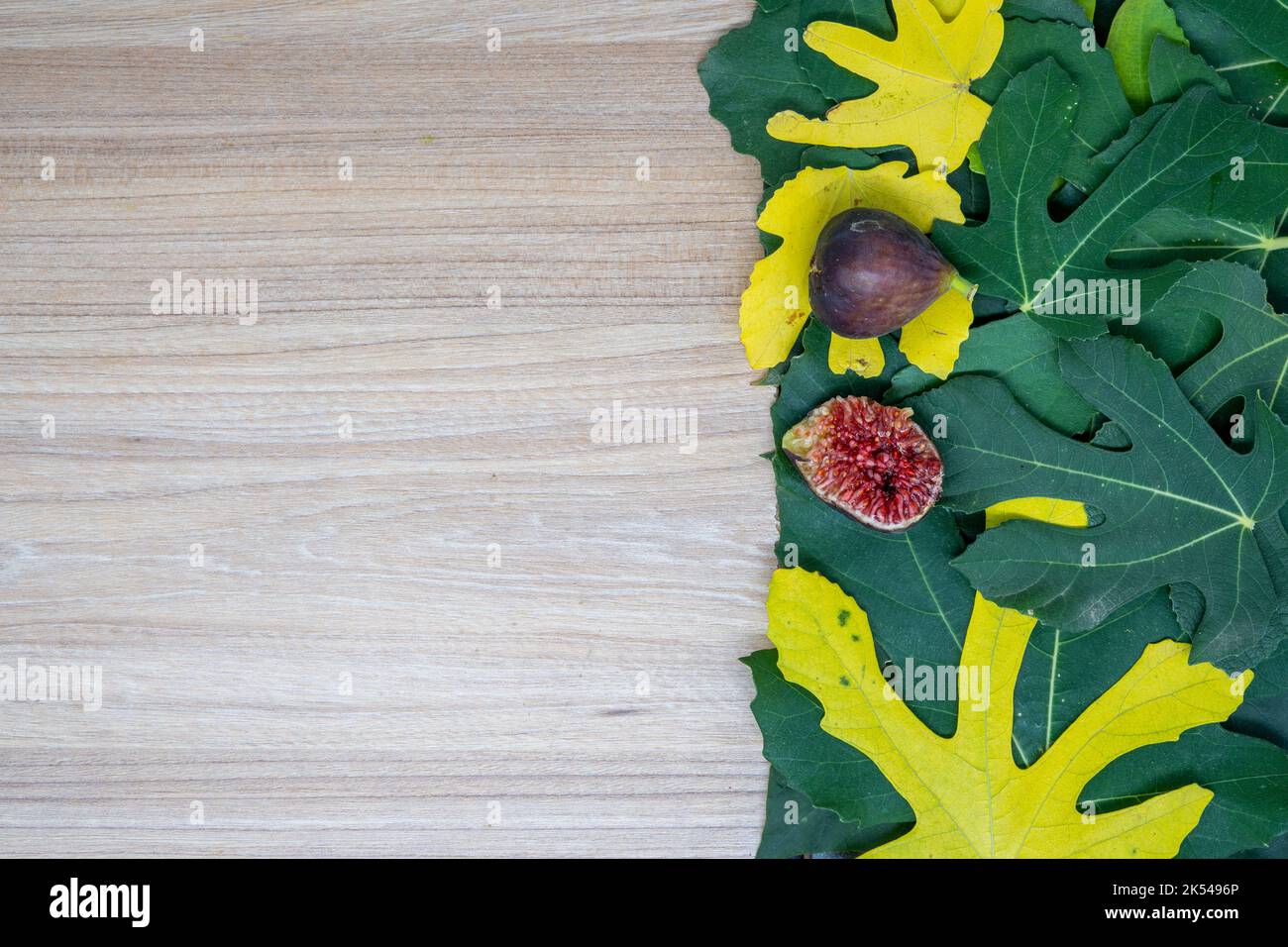 Creative layout of fig leaves and fresh fruit in autumn on the table with neutral space. Flat lay concept. Great for presentation slide background. Stock Photo