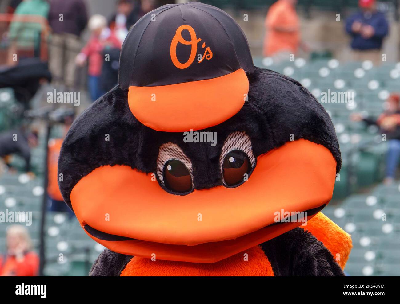 Baltimore orioles mascot hi-res stock photography and images - Alamy
