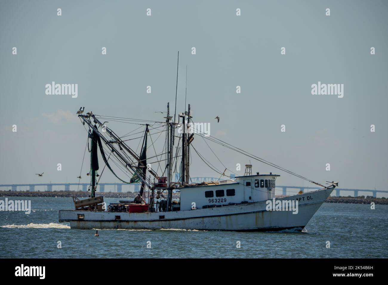 shrimp fishing boat passing by near teas city Stock Photo