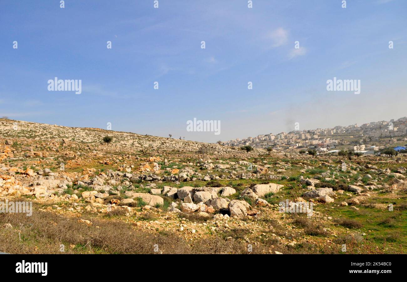 Landscape of the Judaean Mountains Stock Photo - Alamy