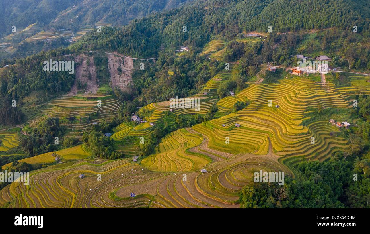 The majestic terraced fields in Ha Giang province, Vietnam. Rice fields ready to be harvested in Northwest Vietnam. Stock Photo