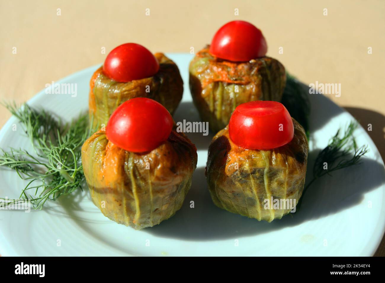Turkish appetizer food ‘Stuffed Zucchini Flowers&amp;#39; (Turkish: Kabak ...